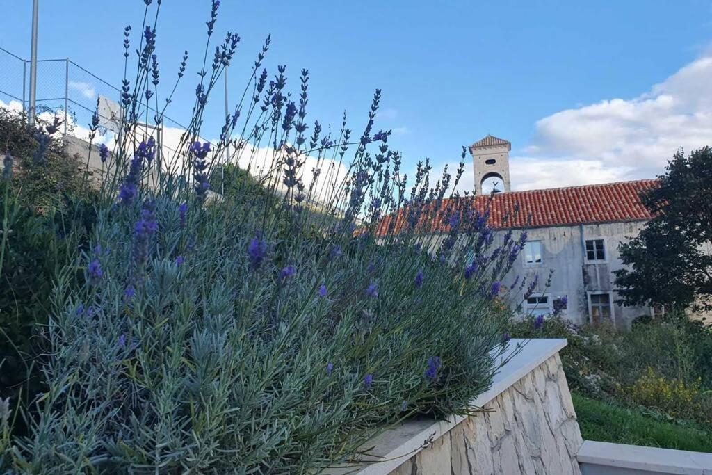 Apartment Mareta In Viganj Kültér fotó